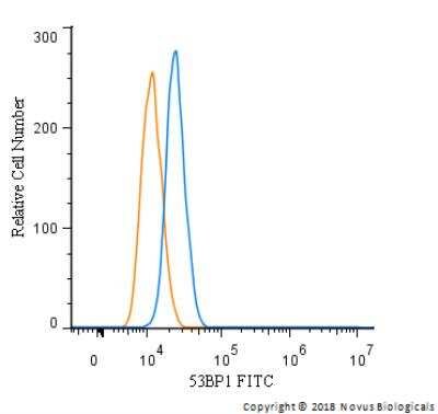 Flow Cytometry of Neuro2A Cells Stained with Conjugated 53BP1 Antibody